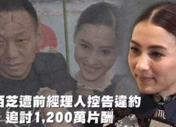 吃瓜娱乐666,揭秘娱乐圈幕后故事